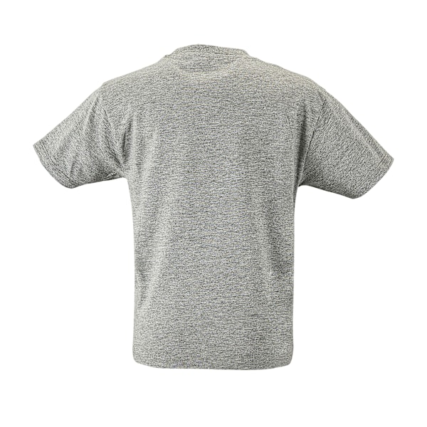 SOLS Kids Regent Kortärmad T-shirt 12 år Gråmelerad Grey Marl 12yrs