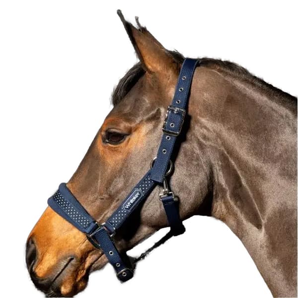 Whitaker San Francisco Hästgrimma Full Navy Navy Full
