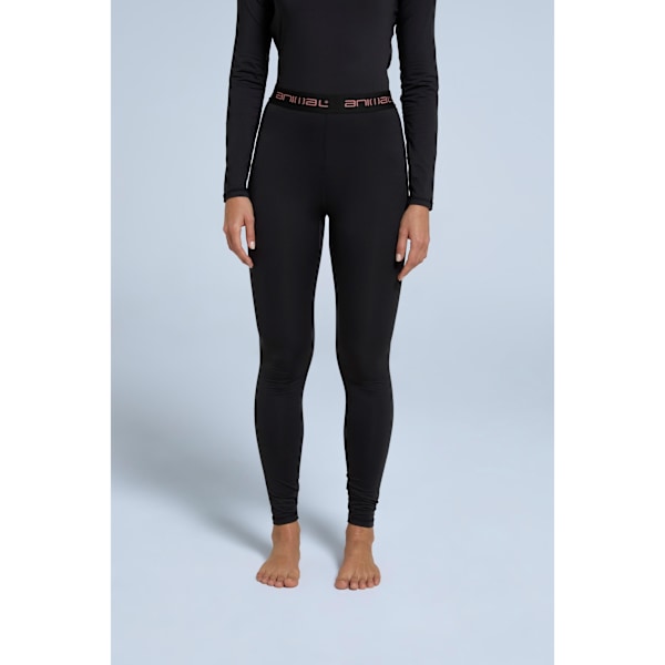 Animal Piste Base Layer Leggings för Kvinnor/Dam 18 UK Jet Black Jet Black 18 UK