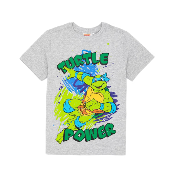 Teenage Mutant Ninja Turtles Barn/Barn T-shirt (2-pack) Black/Grey Marl 3-4 Years