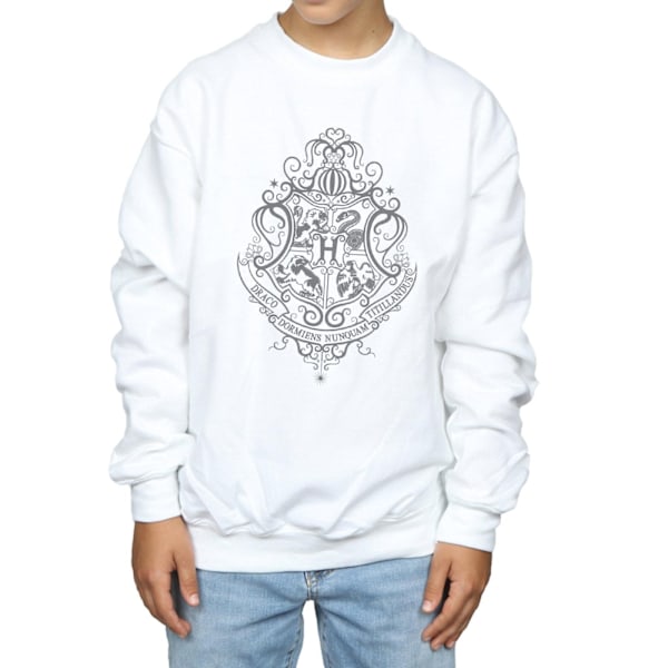 Harry Potter Pojkar Hogwarts Draco Dormiens Crest Sweatshirt 12-1 White 12-13 Years