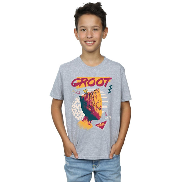 Marvel Boys Guardians Of The Galaxy Vol. 2 80-talets Groot T-shirt 12 Sports Grey 12-13 Years