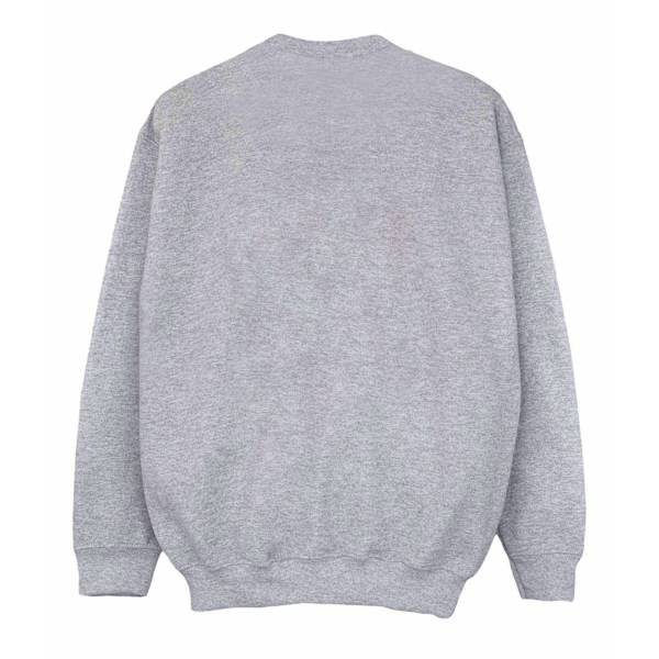 Winnie the Pooh Flickor Klassisk Tigger Sweatshirt 9-11 År Spor Sports Grey 9-11 Years