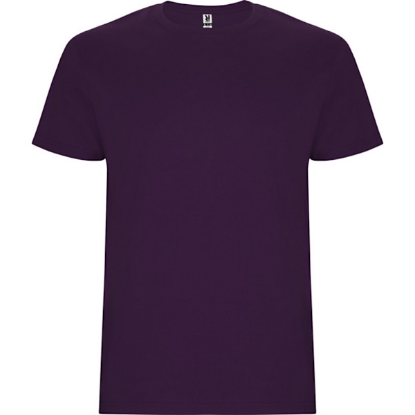 Roly Barn/Barn Stafford Kortärmad T-shirt 5-6 År Lila Purple 5-6 Years