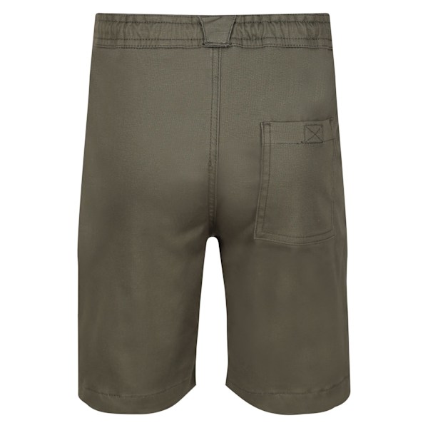 Regatta Alber Ottoman Shorts för barn 11-12 år Grape L Grape Leaf 11-12 Years