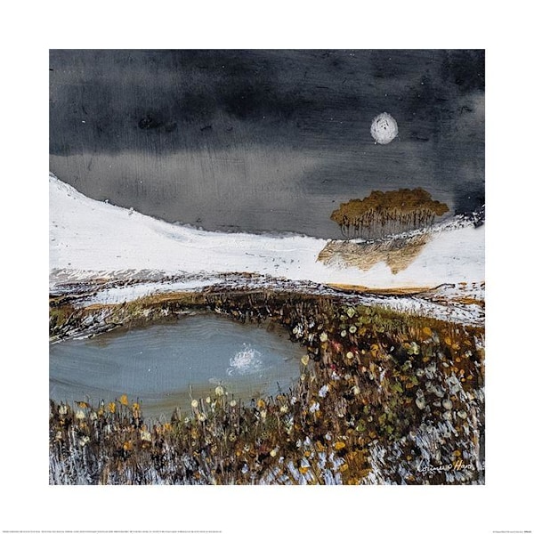 Louise O´Hara A Tranquil Moon II Poster 30cm x 30cm Grå/Vit/ Grey/White/Yellow 30cm x 30cm