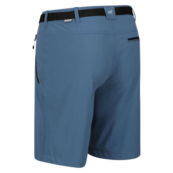 Regatta Herr Xert III Stretch Shorts 36 Stellar Stellar 36