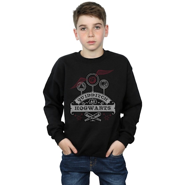 Harry Potter Quidditch på Hogwarts Sweatshirt för pojkar 9-11 år B Black 9-11 Years
