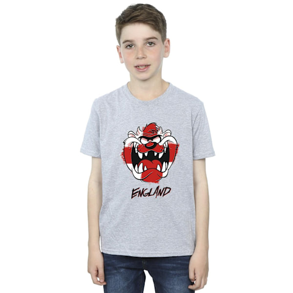 Looney Tunes Boys Taz England Face T-Shirt 7-8 år Sports Grey Sports Grey 7-8 Years