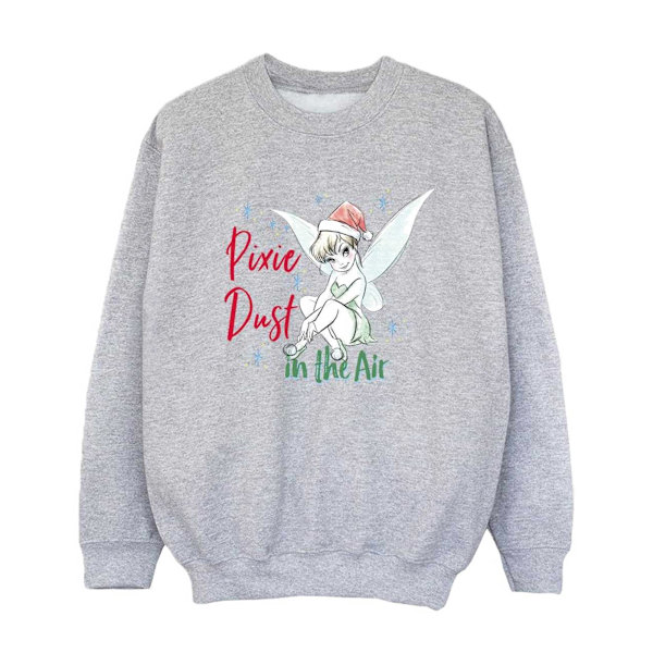 Disney Girls Tinker Bell Pixie Dust Sweatshirt 3-4 år Sport Sports Grey 3-4 Years