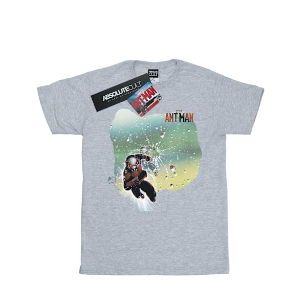 Marvel Ant-Man Shatter T-shirt M Sports Grey Sports Grey M