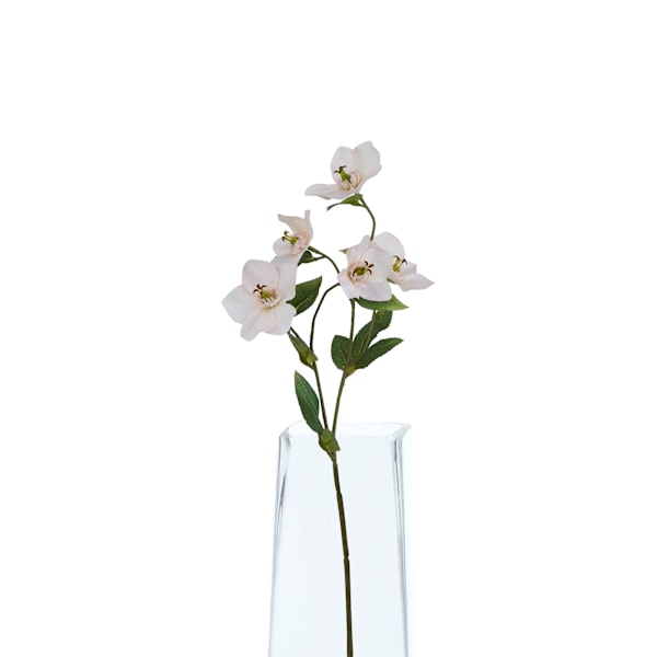 Hill Interiors The Natural Garden Collection Julros Konstgjord Pale Apricot One Size