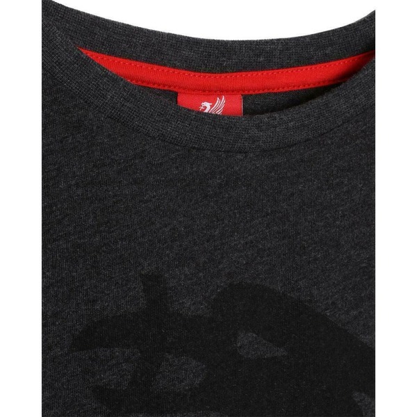 Liverpool FC Herr Liver Bird T-Shirt XXL Charcoal Marl Charcoal Marl XXL  9bc8 | Charcoal Marl | XXL | Fyndiq