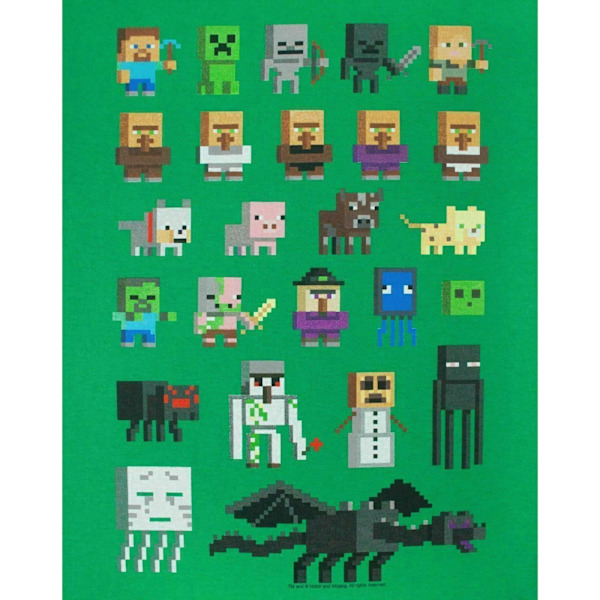 Minecraft Officiell Pojkar Sprites Karaktärer T-shirt 12-13 År Green 12-13 Years