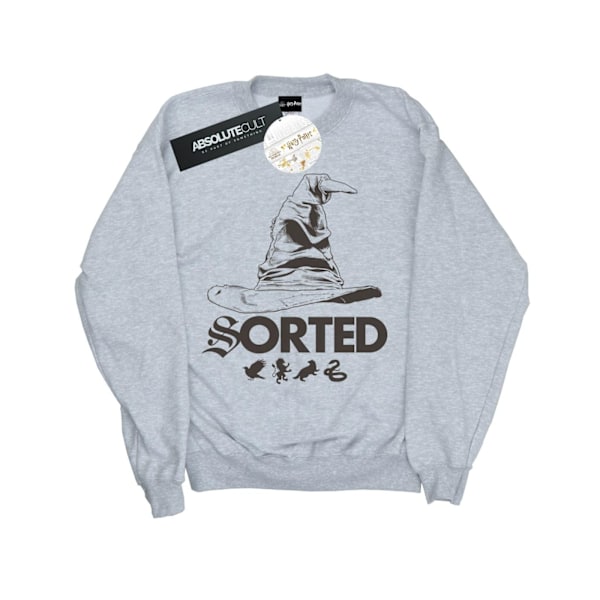 Harry Potter Herr Sorting Hat Sweatshirt 4XL Sports Grey Sports Grey 4XL