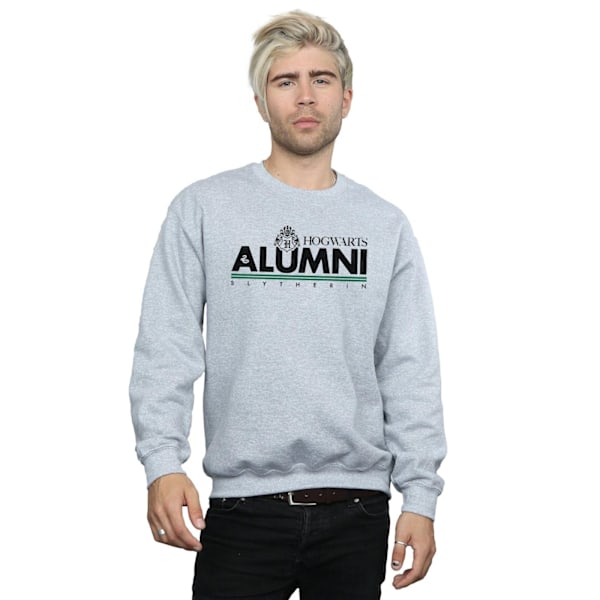 Harry Potter Mens Hogwarts Alumni Slytherin Sweatshirt 4XL Spor Sports Grey 4XL