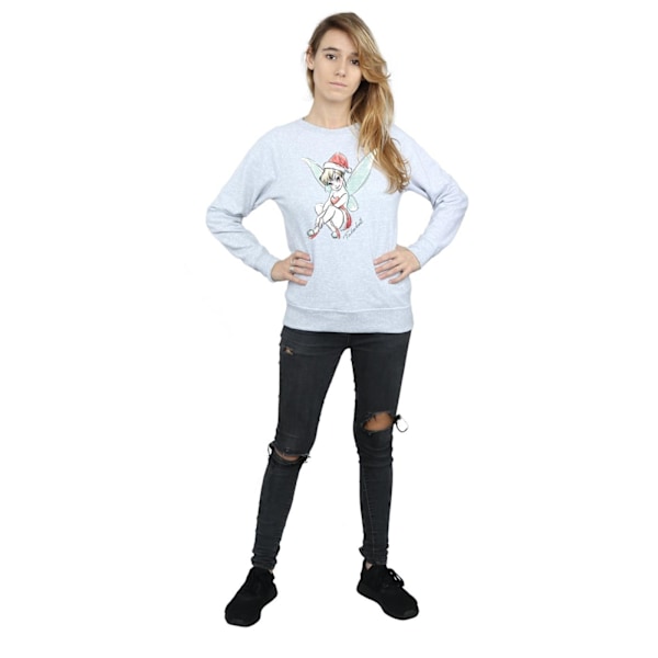 Disney Dam/Kvinnor Tinkerbell Jul Fe Sweatshirt XXL Sports Grey XXL