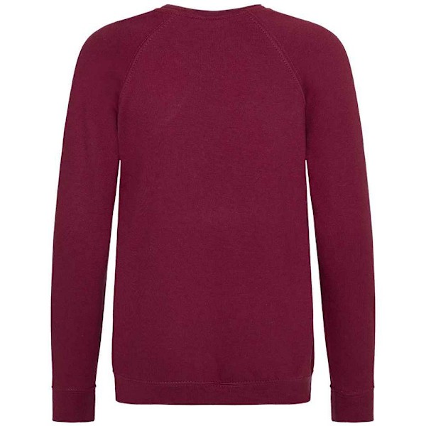 Awdis Barn/Barn Akademi Raglan Sweatshirt 9-10 År Bourgogne Burgundy 9-10 Years
