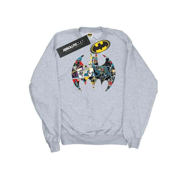DC Comics Boys Batman Comic Book Logo Sweatshirt 7-8 år Spor Sports Grey 7-8 Years