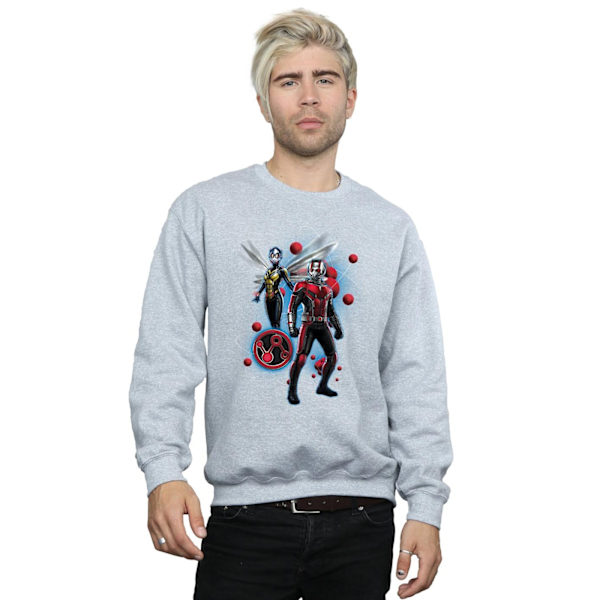 Marvel Herr Ant-Man And The Wasp Particle Pose Sweatshirt L Spo Sports Grey L