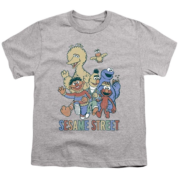 Sesame Street Färgglad Grupp T-shirt för Barn 5-6 År Sports Grey 5-6 Years