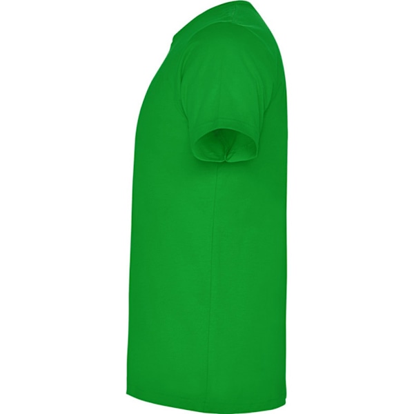 Roly Barn/Barn Dogo T-shirt 3-4 År Gräsgrön Grass Green 3-4 Years