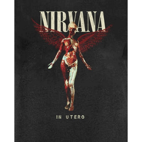 Förstärkt Dam/Ladies In Utero Nirvana T-Shirt Klänning XL Charc Charcoal XL