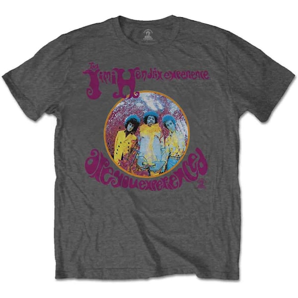 Jimi Hendrix Unisex Vuxen Are You Experienced T-Shirt L Grå Grey L