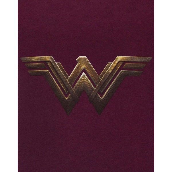Batman VS Superman Dam/Dam Wonder Woman Logo T-Shirt 3XL Red 3XL