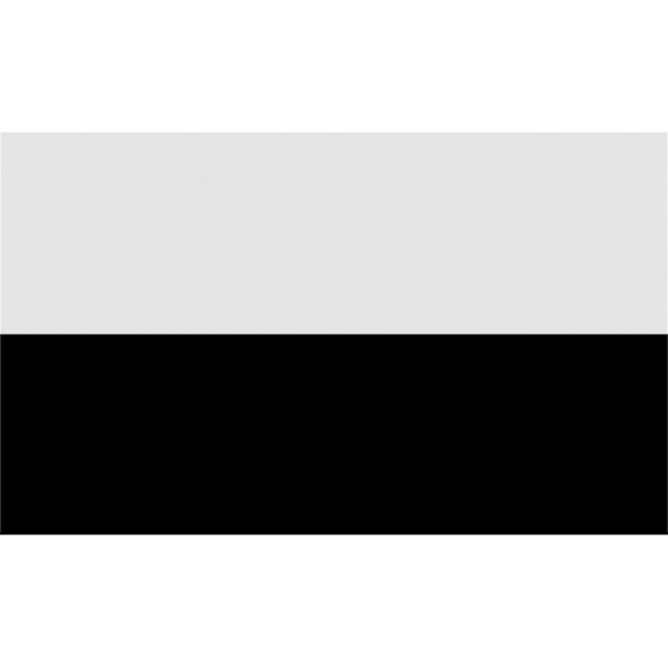 Carta Sport Hörnflagga 29,5 cm x 36,5 cm Vit/Svart White/Black 29.5cm x 36.5cm