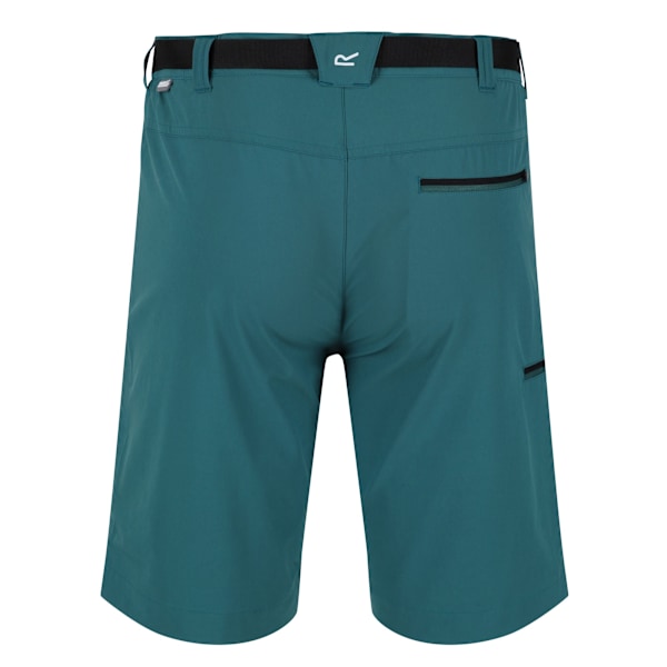 Regatta Herr Xert III Stretch Shorts 34R Pacific Green Pacific Green 34R