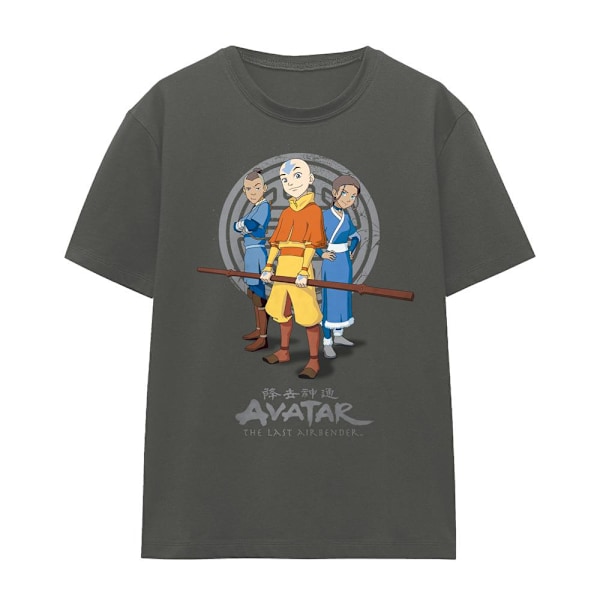 Avatar: The Last Airbender Unisex Vuxen Team Avatar T-Shirt L C Charcoal L