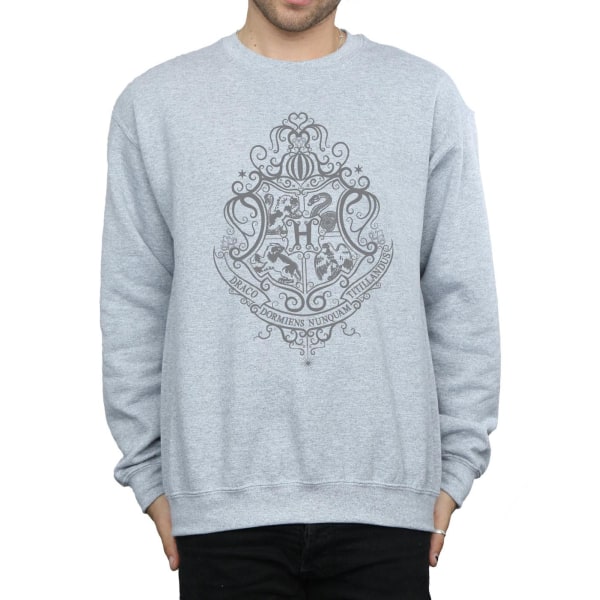 Harry Potter Herr Hogwarts Draco Dormiens Crest Sweatshirt XL S Sports Grey XL