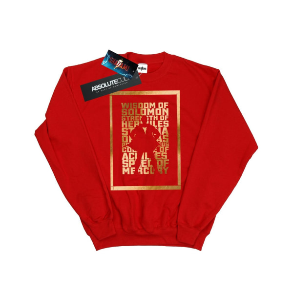 DC Comics Herr Shazam Gold Text Sweatshirt 5XL Röd Red 5XL