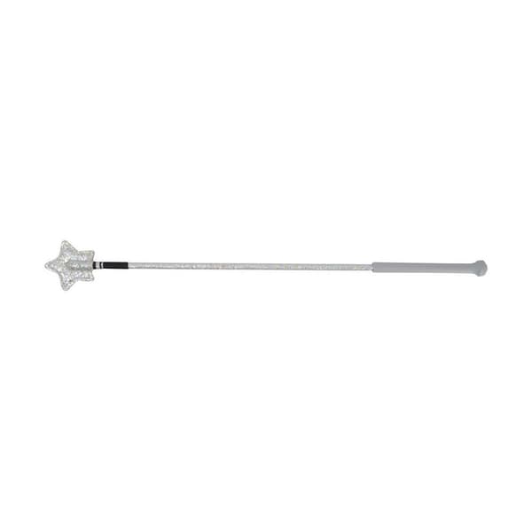 HySCHOOL Ridspö Star 65cm Silverglitter Silver Glitter 65cm
