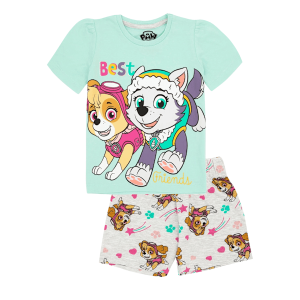 Paw Patrol Barn/Barn Pyjamas Set 6-7 år Teal/Grey 6-7 Years