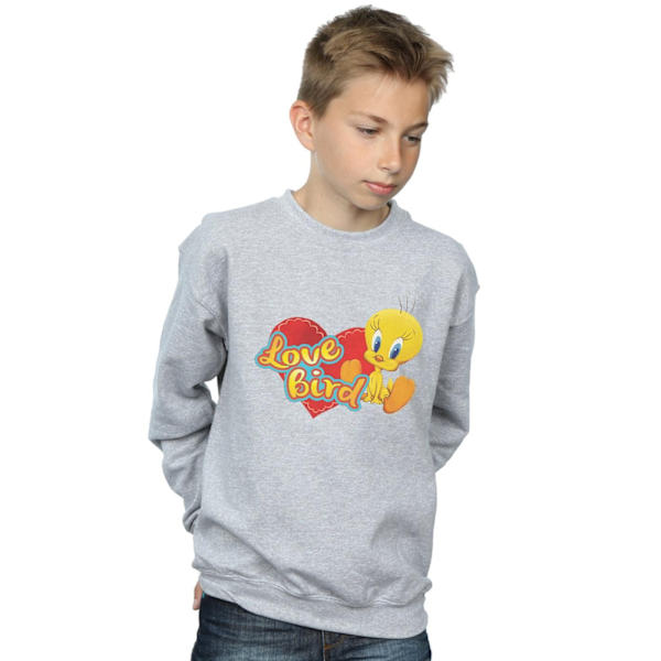 Looney Tunes Boys Tweety Pie Alla hjärtans dag Love Bird Sweatshirt Sports Grey 9-11 Years