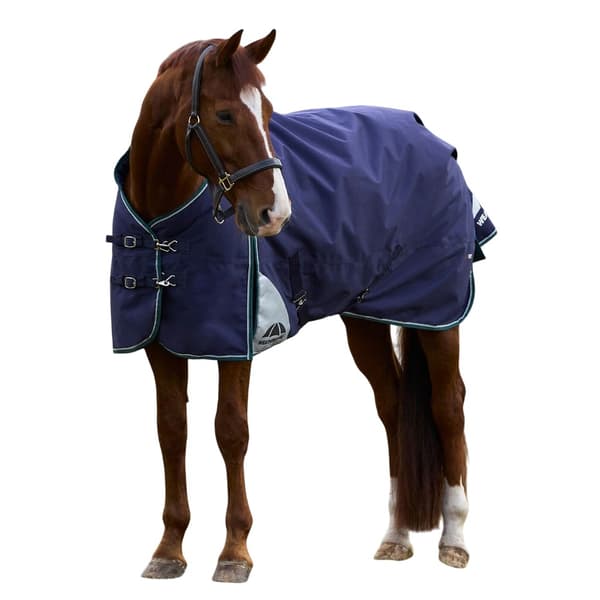Weatherbeeta Comfitec Plus Dynamic Standard-Neck 100g Hästtäcke Navy/Forest Green 6´