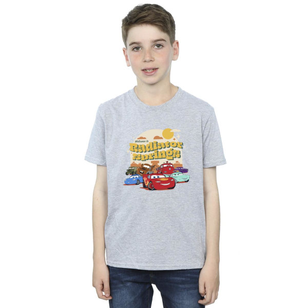 Disney Boys Cars Radiator Springs Group T-shirt 3-4 år Sport Sports Grey 3-4 Years