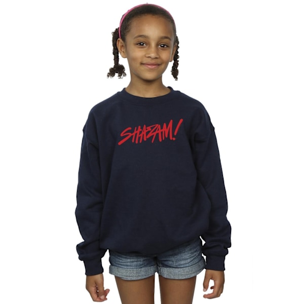 DC Comics Girls Shazam Fury Of The Gods Spray Paint Logo Sweatshirt Navy Blue 3-4 Years