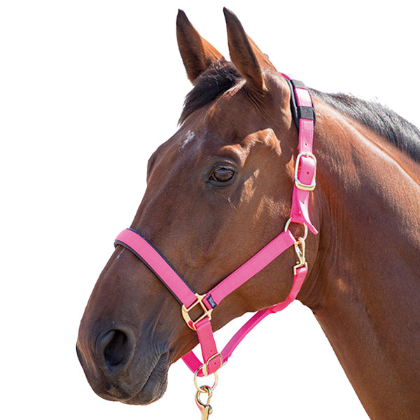 Shires Topaz Nylon Hästgrimma Full Pink Pink Full