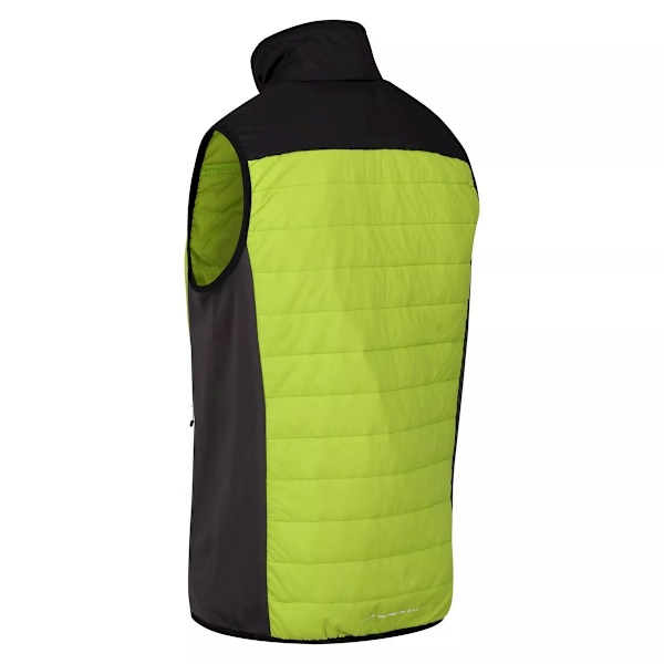 Regatta Halton VI lättviktig väst för män M Bright Kiwi/Bl Bright Kiwi/Black M
