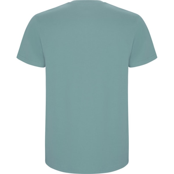 Roly Barn/Barn Stafford Kortärmad T-shirt 5-6 år Du Dusty Blue 5-6 Years