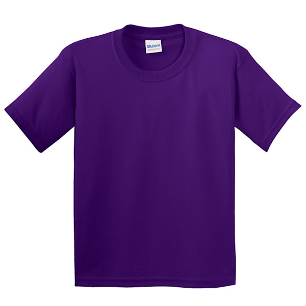 Gildan Childrens Unisex Heavy Cotton T-Shirt (2-pack) L Purp Purple L
