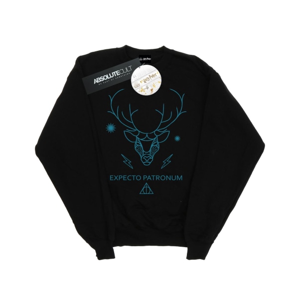 Harry Potter Dam/Kvinnor Expecto Patronum Sweatshirt L Svart Black L