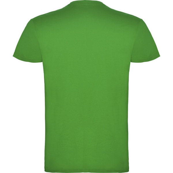 Roly Barn/Barn Beagle Kortärmad T-shirt 9-10 År Gräs Grass Green 9-10 Years