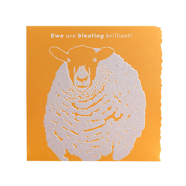 Deckled Edge Colour Block Animal Greetings Card One Size Ewe Ar Ewe Are Bleating Brilliant - Sheep One Size