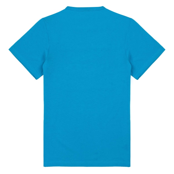 Fortnite Boys Logo T-Shirt 15-16 år Blå Blue 15-16 Years