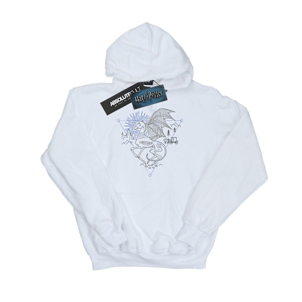 Harry Potter Pojkar Thestral Linje Konst Hoodie 9-11 År Vit White 9-11 Years