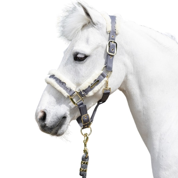 Coldstream Langlee Lyxig Hästgrimma och Grimlina Cob Grå Grey Cob